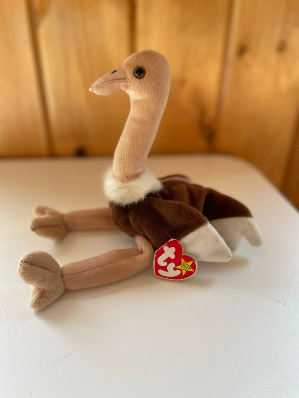 5 Vintage Ty Beanie Babies Birds  - Jabber, Rocket, Early, Stretch, Teenie Strut